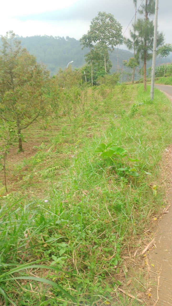 Gambar properti Tanah Investasi di Kota Batu (1)