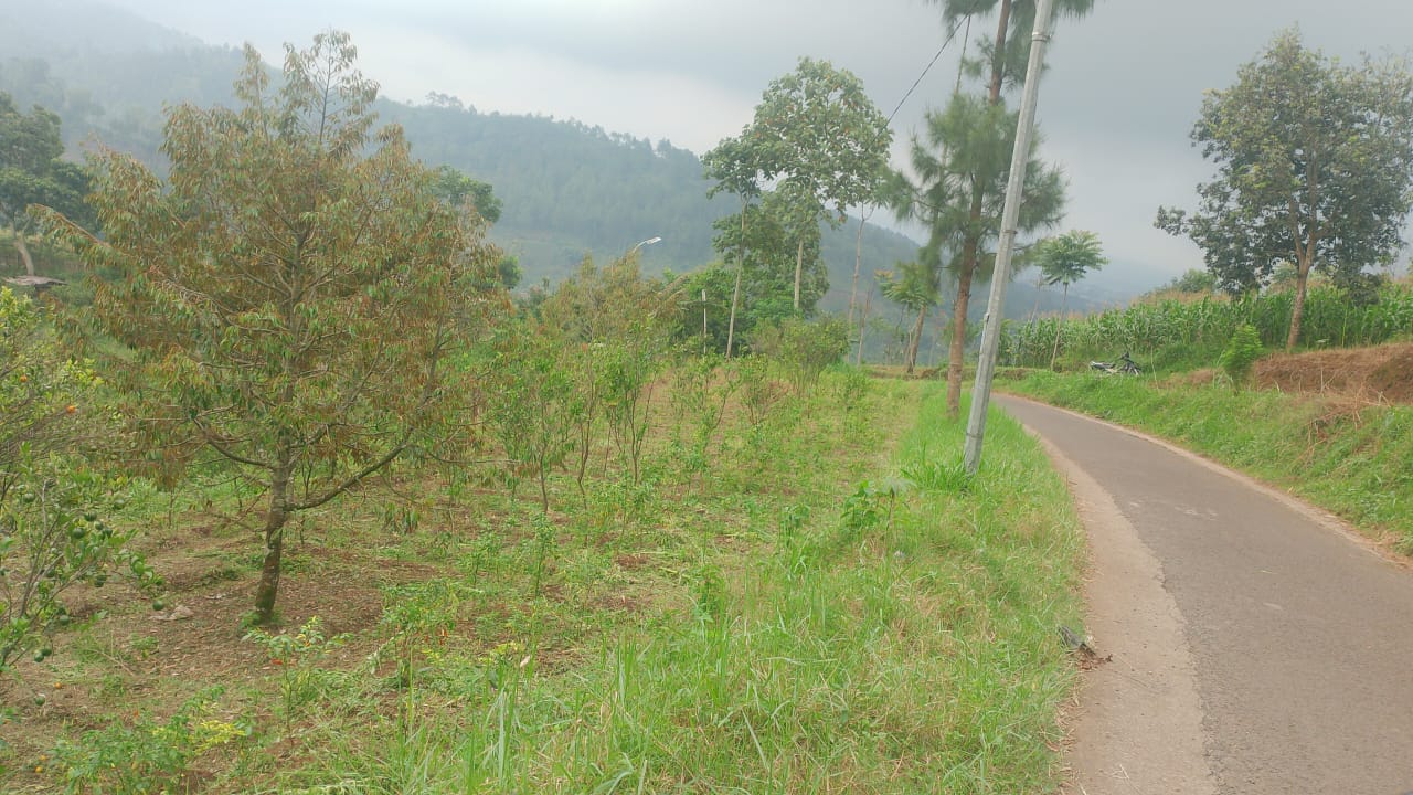 Gambar properti Tanah Investasi di Kota Batu (3)